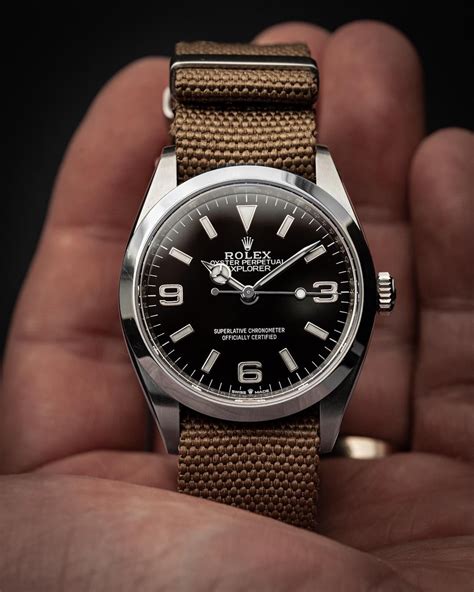 rolex su nato explorer